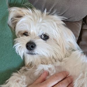 Meet your Posher, Mb